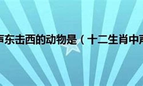 声东击西打一生肖准确的答案解析是什么寓意_声东击西指的是哪个