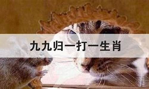 九九归一是哪个生肖_九九归一打一生肖是什么动物猴啊呢