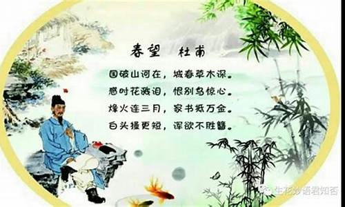 感时伤怀花溅泪_感时伤怀