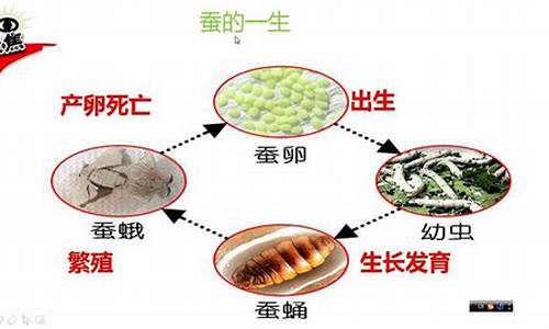 说三道四是哪个生肖_说三道四的动物打一生肖