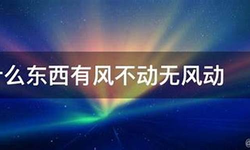 什么东西有风不动无风动打一生肖吗_有风不动无风动谜语