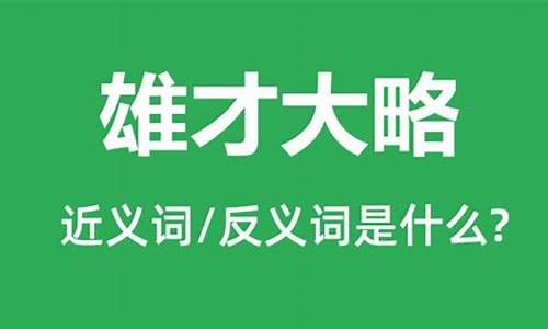 雄才大略是什么意思_雄才大略是什么意思啊