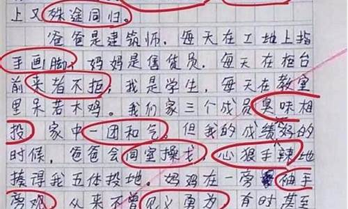 四字成语日记一篇_四字成语日记一篇50字